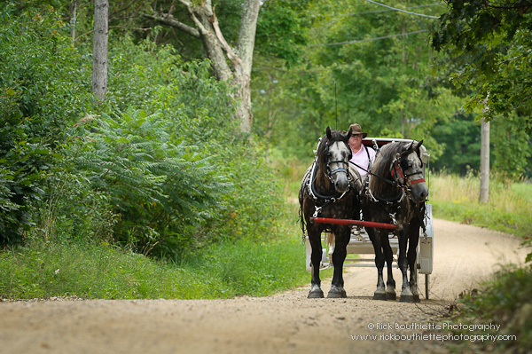 Horse drawn carriage on dirt road