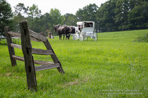 Horse drawn carriage in field, split rail fence