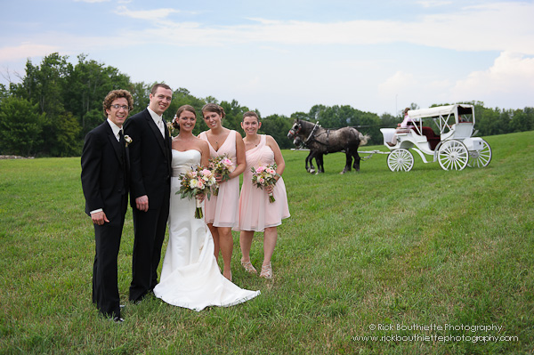 Wedding party in field, carriage in background