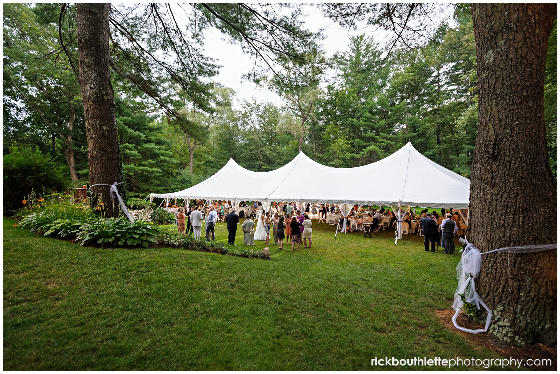 tent in back yard set up for wedding reception