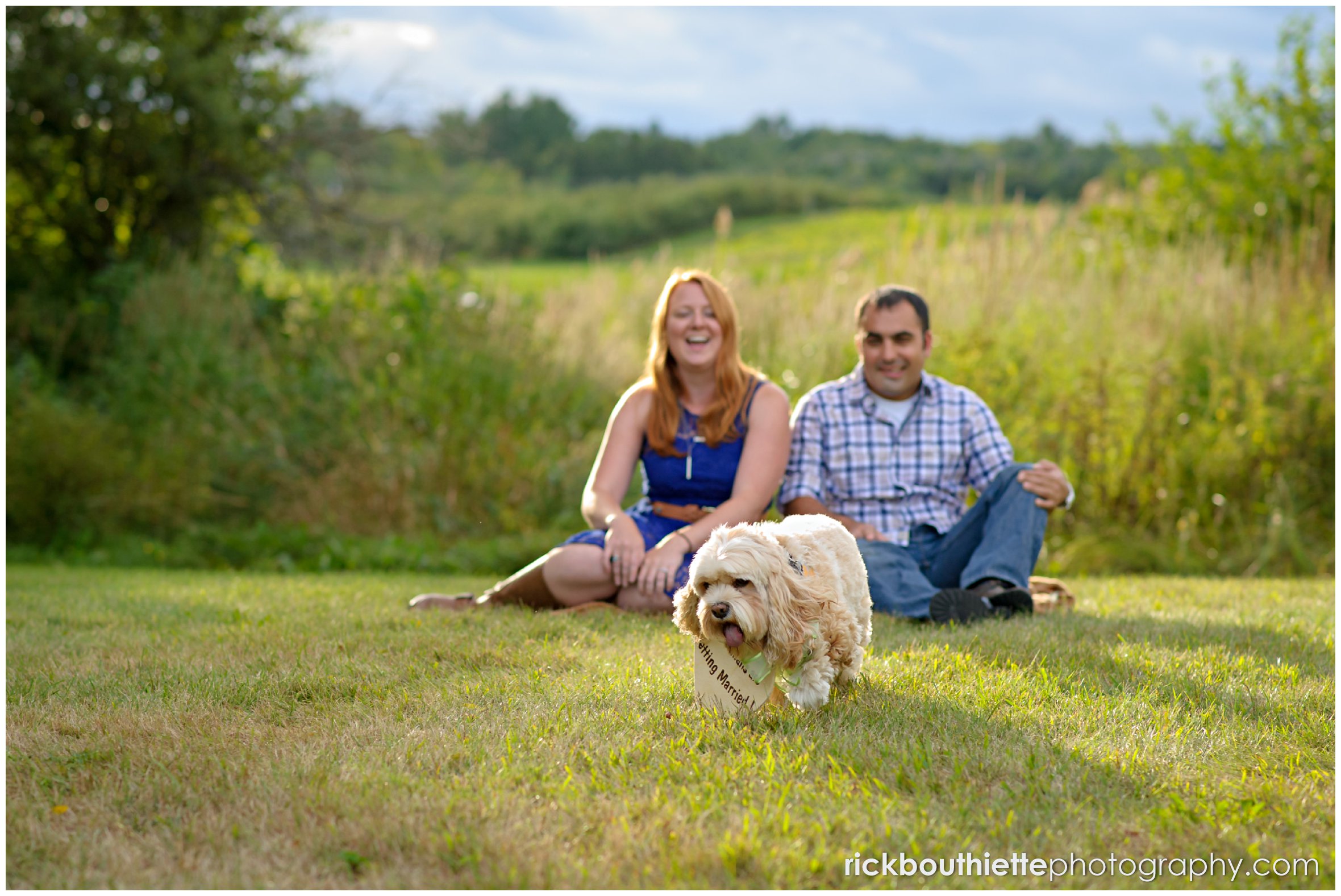engaged couple with their dog at apple orchard engagement session